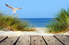 Strandsteg an der Ostsee